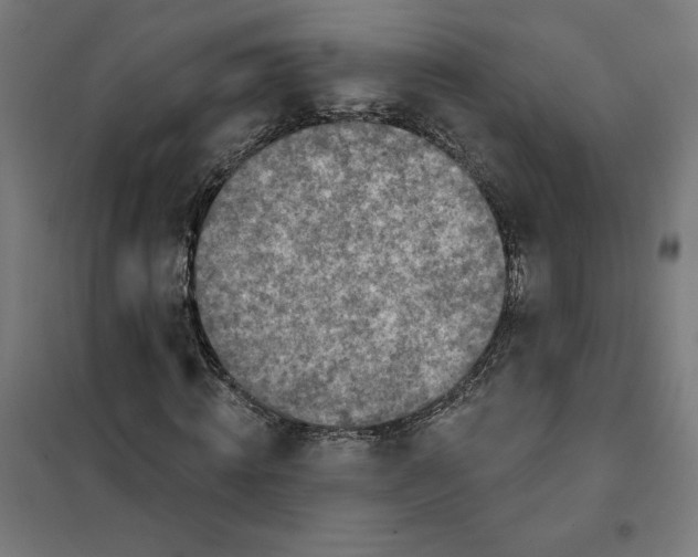 X0000101200820200807251023