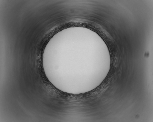 X0000101200821200807251023