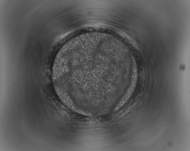 X0000101200822200807251023