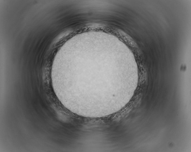 X0000101200824200807251023