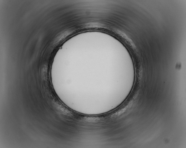 X0000101200825200807251023