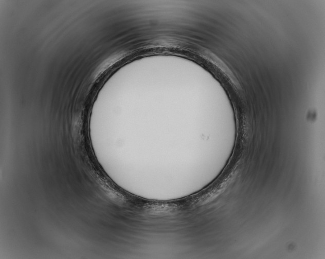 X0000101200826200807251023