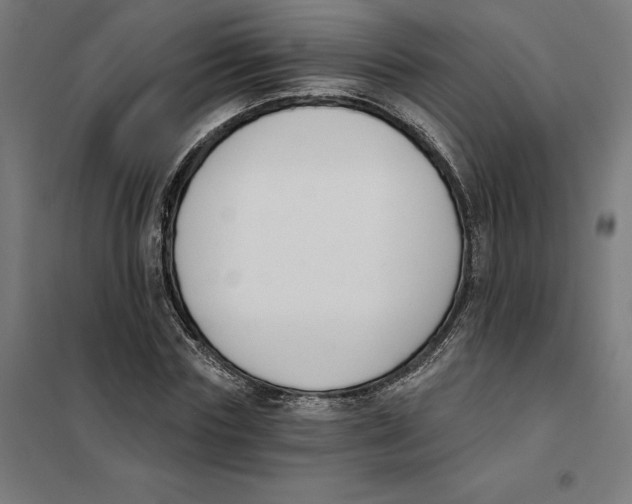 X0000101200827200807251023