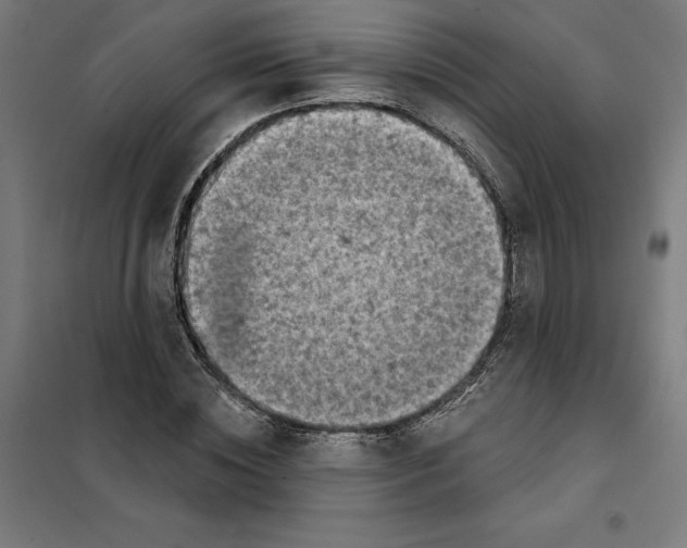 X0000101200828200807251023