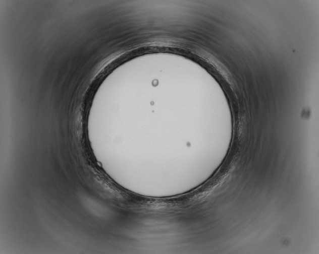 X0000101200829200807251023