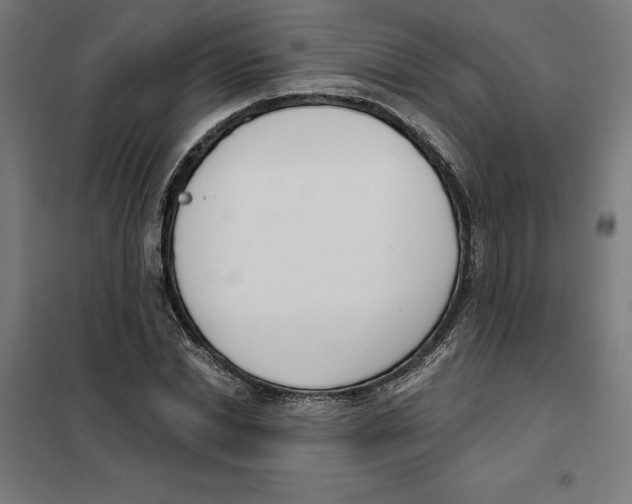 X0000101200830200807251024