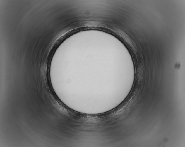 X0000101200831200807251024