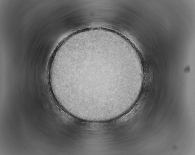 X0000101200832200807251024