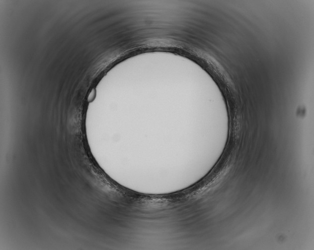 X0000101200833200807251024