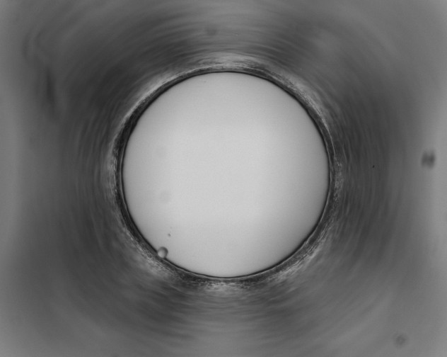 X0000101200835200807251024