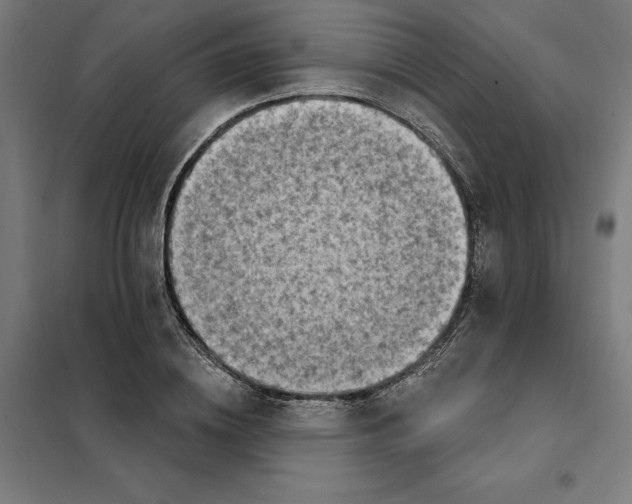 X0000101200836200807251024