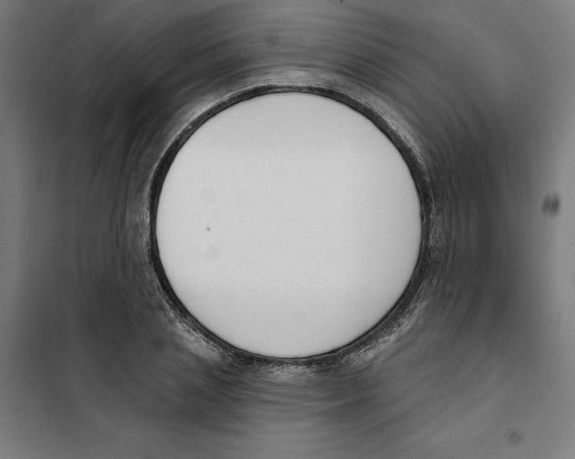 X0000101200837200807251024