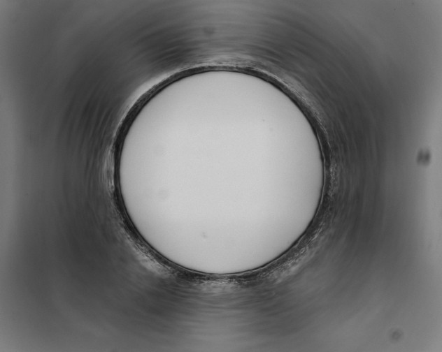 X0000101200838200807251024