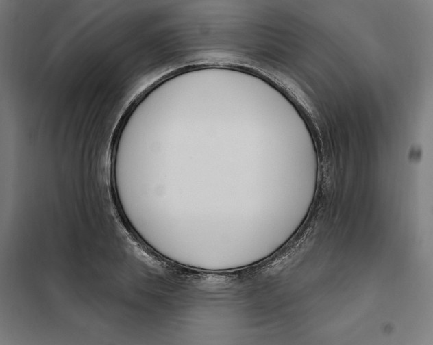 X0000101200839200807251024