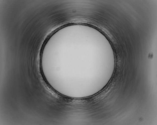 X0000101200840200807251024