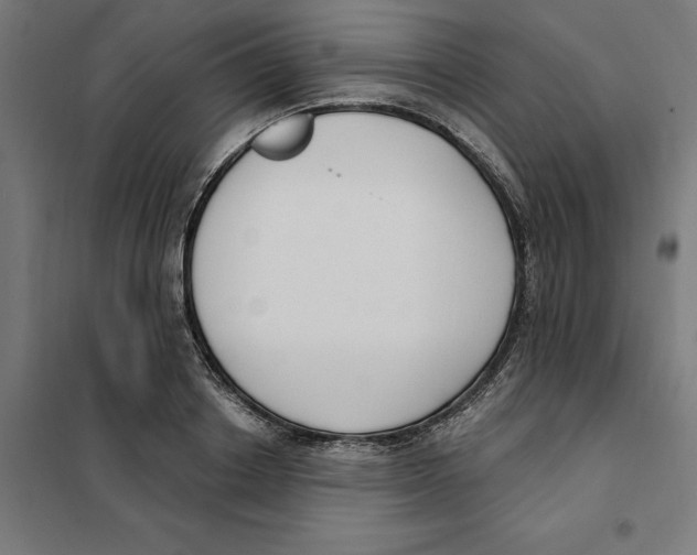 X0000101200842200807251024