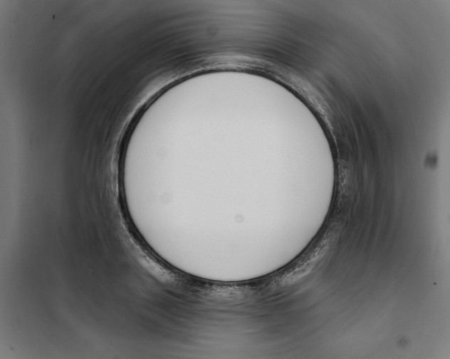 X0000101200843200807251024