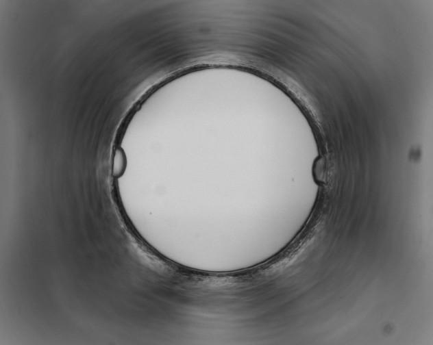 X0000101200845200807251024