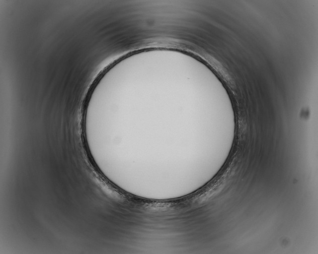 X0000101200846200807251024