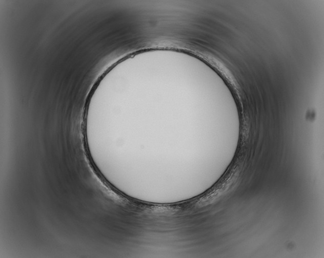 X0000101200847200807251024