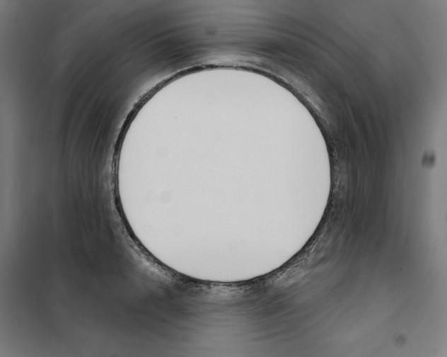 X0000101200848200807251024