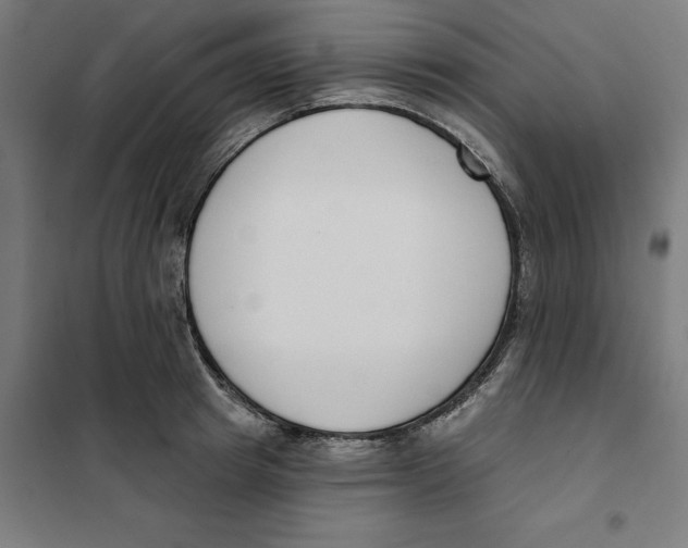 X0000101200849200807251024