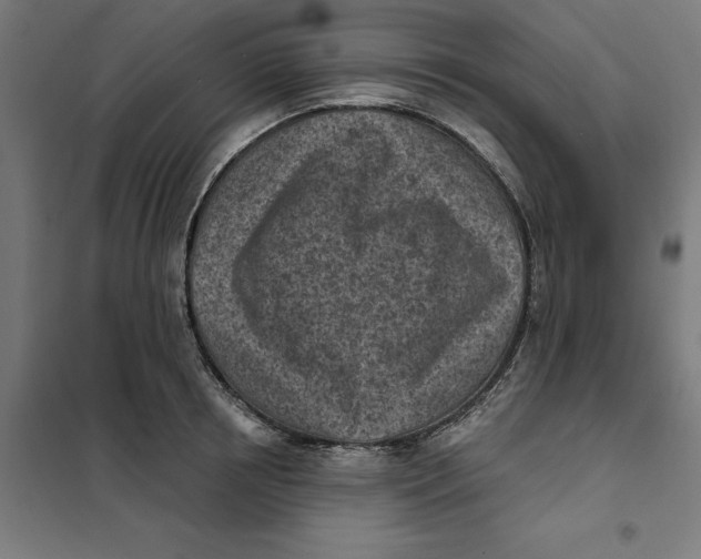 X0000101200850200807251024