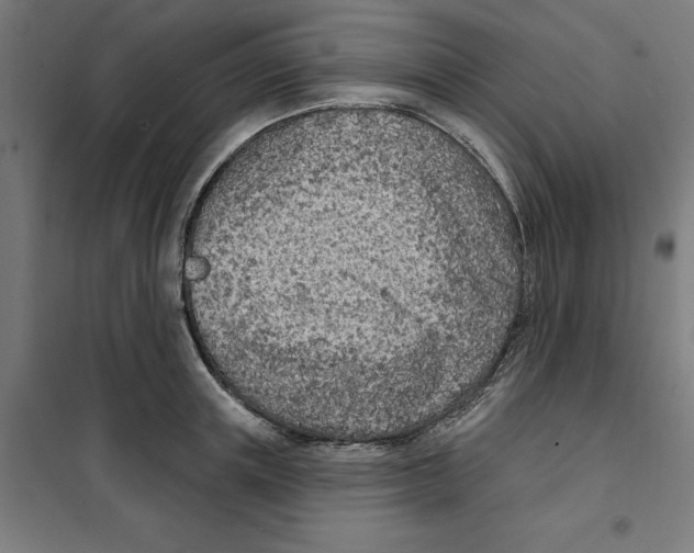 X0000101200851200807251024