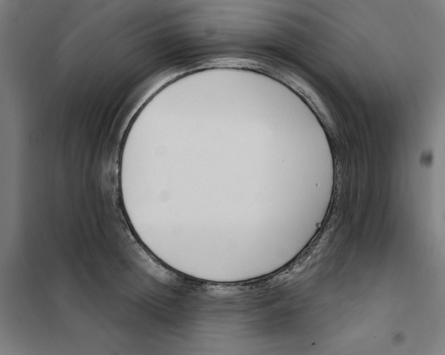 X0000101200852200807251024