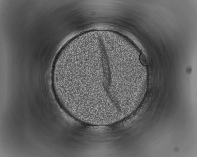 X0000101200853200807251024