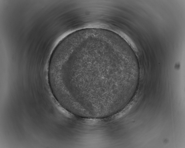 X0000101200854200807251024