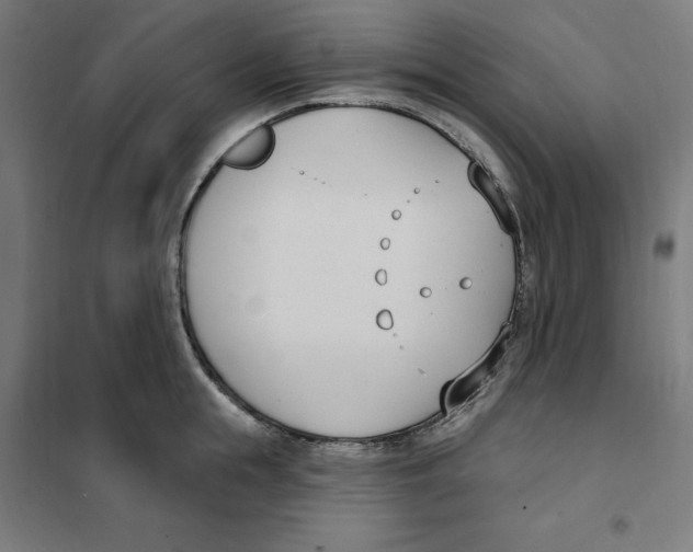 X0000101200855200807251024