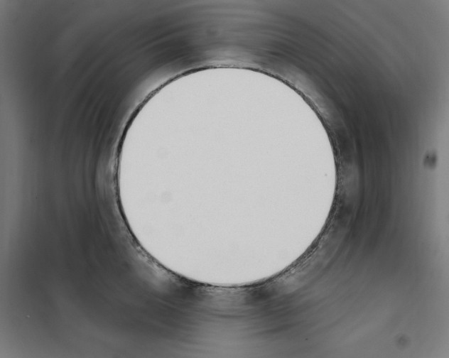 X0000101200856200807251024