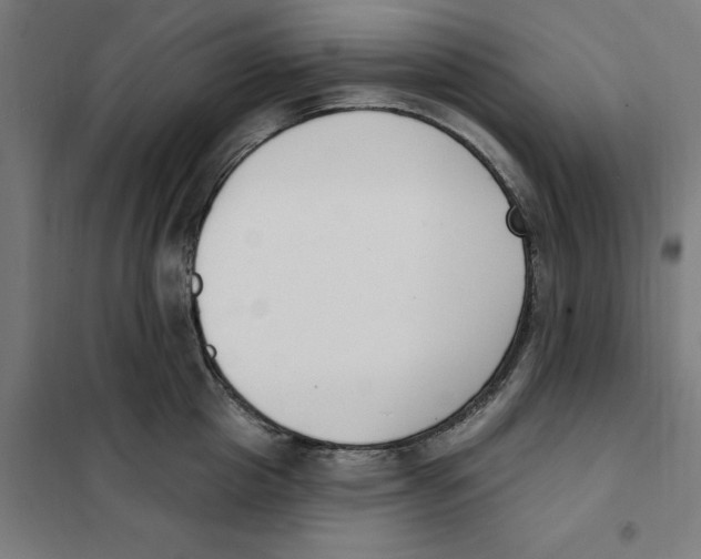 X0000101200857200807251024