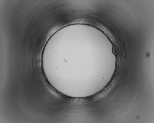 X0000101200858200807251024