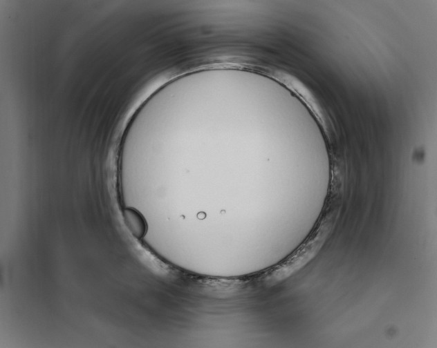 X0000101200859200807251024