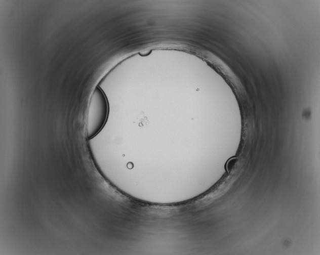 X0000101200860200807251024