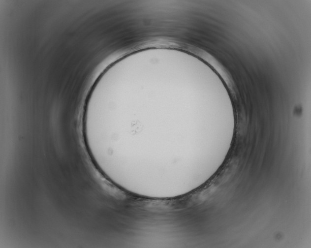 X0000101200861200807251024