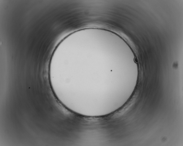 X0000101200862200807251024