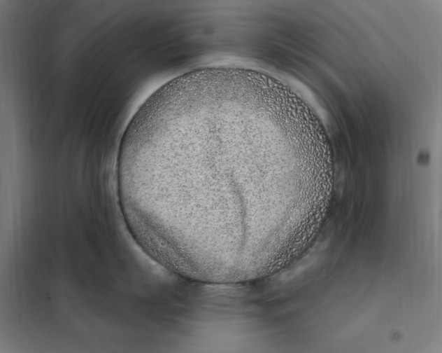 X0000101200863200807251024