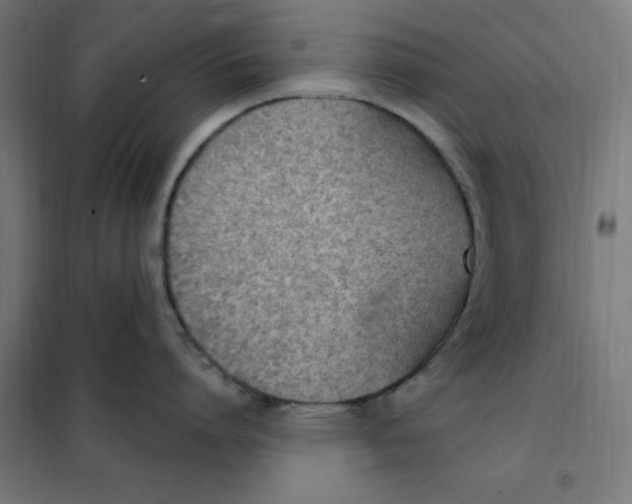 X0000101200864200807251024