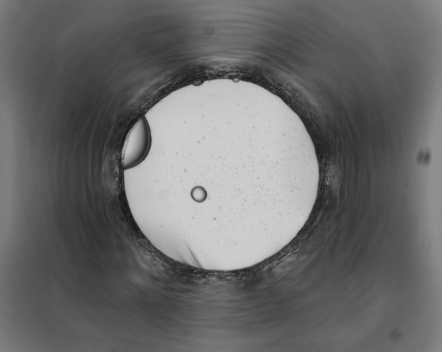 X0000101200868200807251023