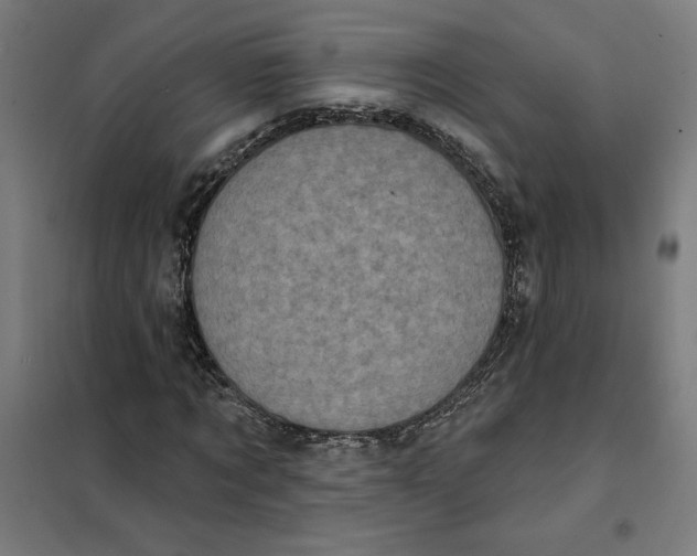 X0000101200869200807251023