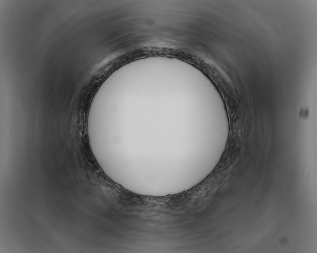 X0000101200870200807251023