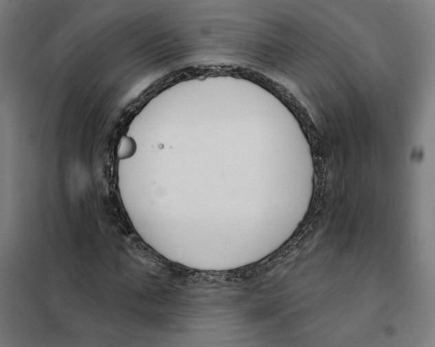 X0000101200871200807251023