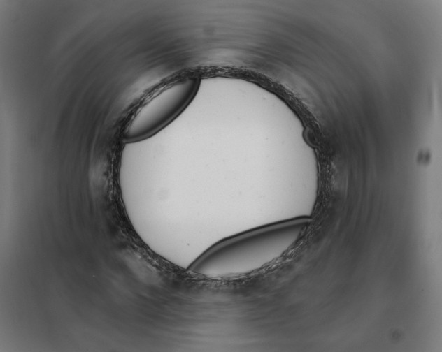 X0000101200872200807251023