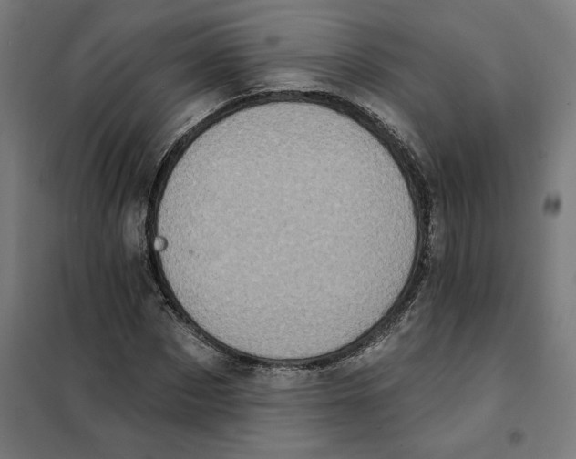 X0000101200873200807251023