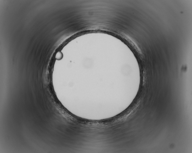 X0000101200876200807251023