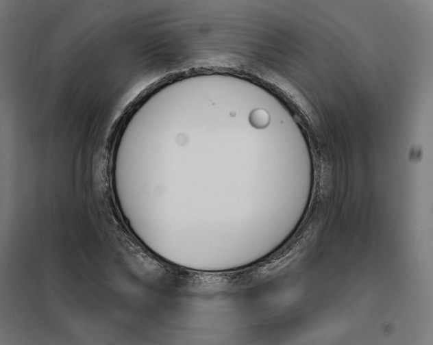 X0000101200878200807251023