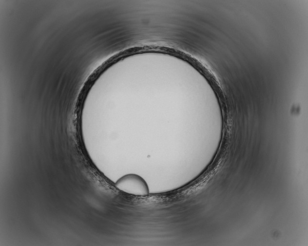 X0000101200879200807251023